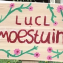 Ariëlle Reitsema, Bente De Graeve, Hester Groot, Jesse Wichers Schreur, Sophia Nauta